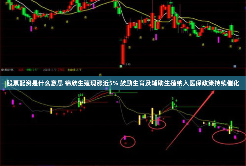 股票配资是什么意思 锦欣生殖现涨近5% 鼓励生育及辅助生殖纳入医保政策持续催化