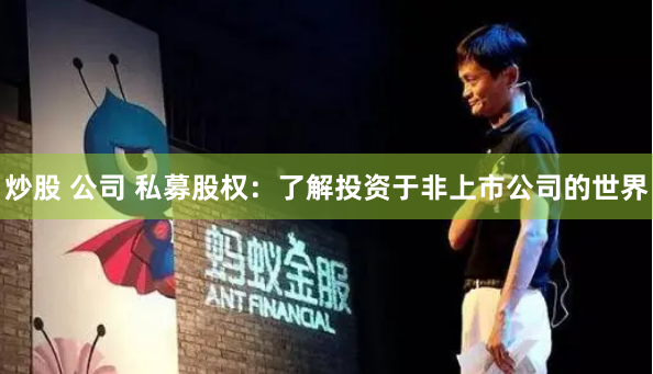 炒股 公司 私募股权：了解投资于非上市公司的世界