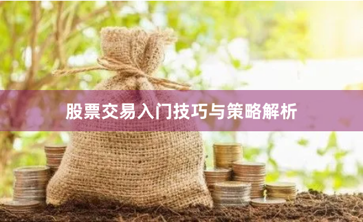 股票交易入门技巧与策略解析